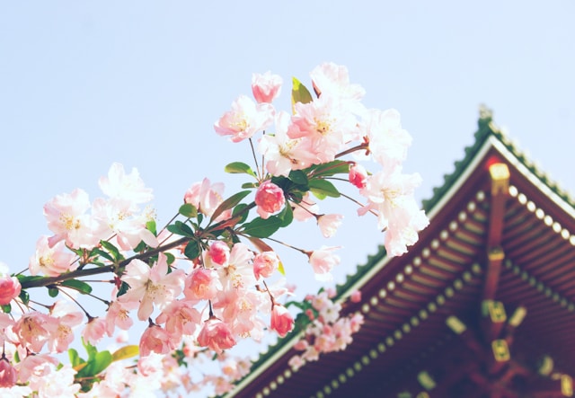 Discover Why China Tops The List Of Must-Visit Destinations
