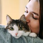 Do Cats Make Good Therapy Animals? It’s Complicated. : ScienceAlert