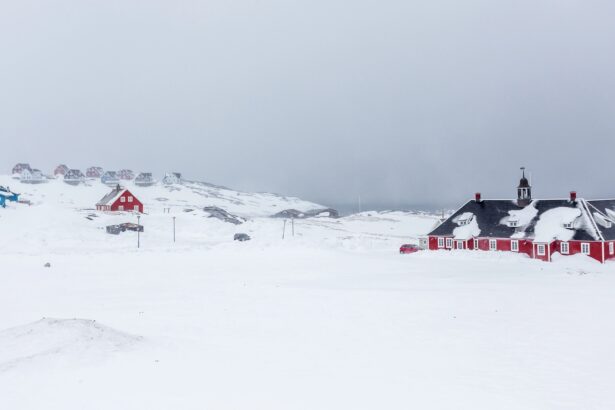 Do Inuit languages really have many words for snow?