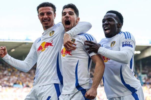 EFL Championship: Race for Premier League promotion, standings, battle to avoid relegation and what to know