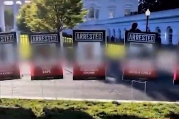 ENEMY OF THE PEOPLE: CNN’s Jake Tapper Blurs Mugshots of Convicted Alien Rapists, Murderers, and Pedophiles Featured on White House Lawn – Suggests They’re Innocent! |