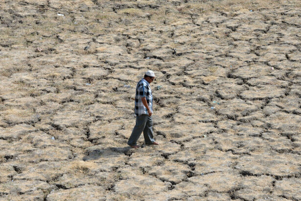 Earth’s landmasses lost trillions of tons of water this century