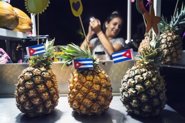 Entrepreneurship in Cuba: Uncertainty, Transaction Costs, and Stifled Potential