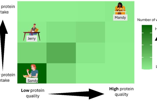 Even vegans who get enough total protein may fall short for some essential amino acids, findings suggest
