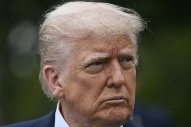 Ex-Clinton Adviser Predicts Trump’s Approval Rating Will Fall Further