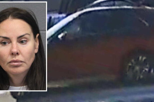 Fatal hit-and-run driver stopped, then drove over fallen pedestrian as she fled the scene: prosecutors