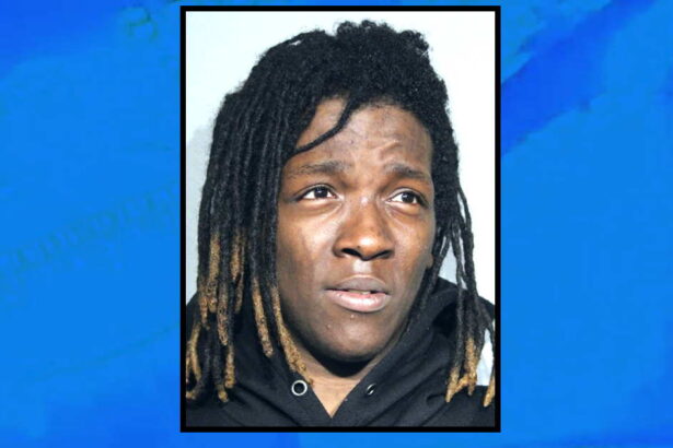 Father kidnapped his own 2-month-old, tossed her over a fence during getaway attempt: prosecutors