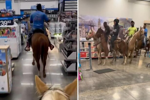 Four ‘cowboys’ arrested for riding horses through Walmart