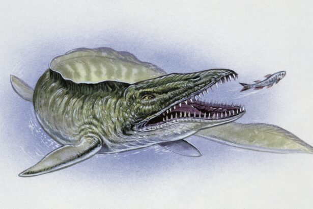 Geologists accidentally found a monstrous mosasaur fossil in Mississippi mud