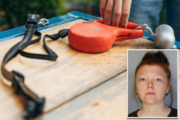 Georgia woman Brooke Bestpitch accused of yanking child with dog leash in disturbing footage