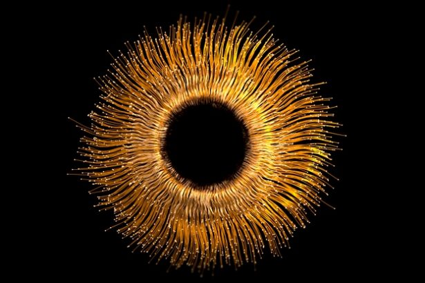 Gold Injections in The Eye May Be The Future of Vision Preservation : ScienceAlert