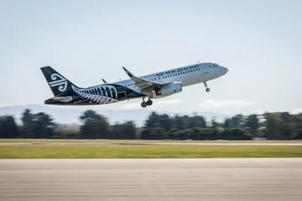 Govt eyeing more affordable domestic airfares