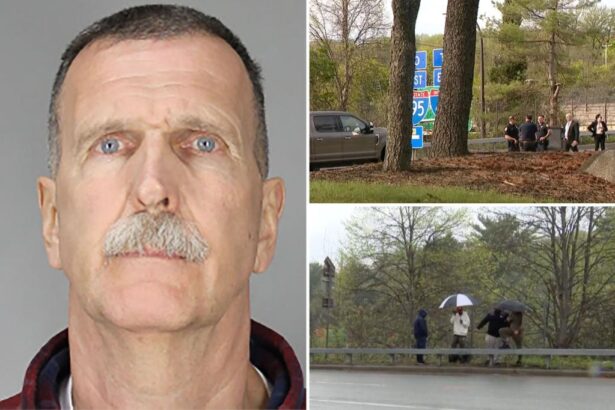 Grandpa cuffed in road-rage killing on Long Island Expressway: cops