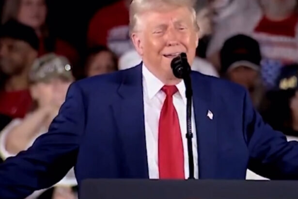 HILARIOUS! Trump Destroys He/She Protester: “I’m Sorry, Ma’am. I Thought it Was a Guy!” – “She Now Has to Go Home to a Mother Who’s a Big Trump Fan!” (VIDEO) |