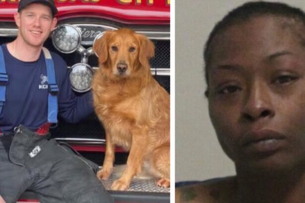 HORROR: Kansas City Firefighter-Paramedic Fatally Stabbed by Woman Inside Ambulance While Attempting to Help Her |