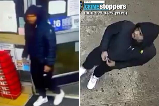 Handsy predator goes on sick sexual assault spree in NYC: NYPD