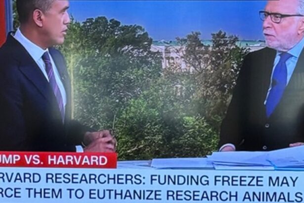 Harvard Researchers Whine That Trump’s Funding Freeze Will Force Them to Euthanize Animals Before They Can Torture Them |