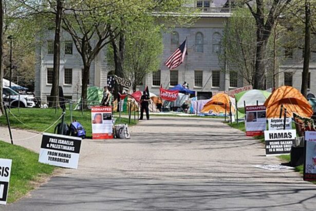 Harvard Sues Trump Administration Over .2 Billion Federal Funding Freeze Amid Crackdown on Woke Campuses |
