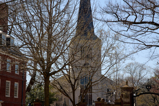 Harvard, Under Pressure, Revamps D.E.I. Office