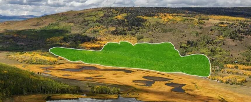Haunting Sounds of The World’s Largest Living Thing Revealed : ScienceAlert