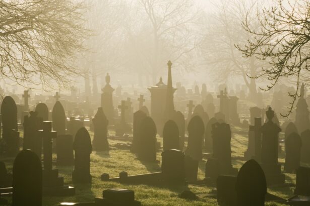Here’s why ‘dead’ investors outperform the living
