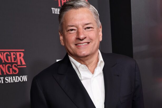 Sarandos to Testify About Netflix-Warner Bros. Deal at Senate Hearing