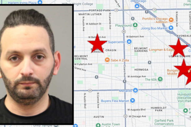 Horrific allegations of Chicago serial rapist are revealed in court