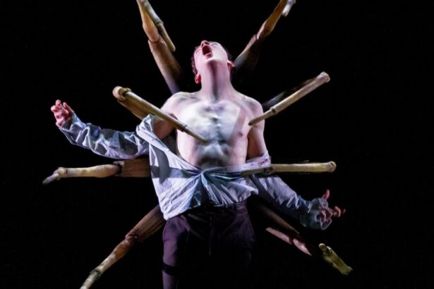 How Stranger Things Broadway Play First Shadow Connects to Season 5