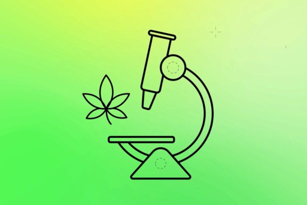 How THC, the Psychoactive Compound in Weed, Gets You High