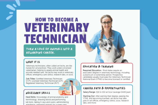 How To Become a Vet Tech (Free Student Guide and Poster)