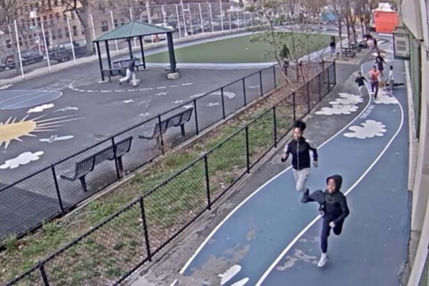 How did NY leaders let gangbangers’ Bronx violence go on for so long?