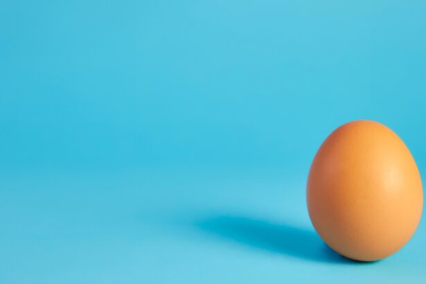 How to make an egg bounce