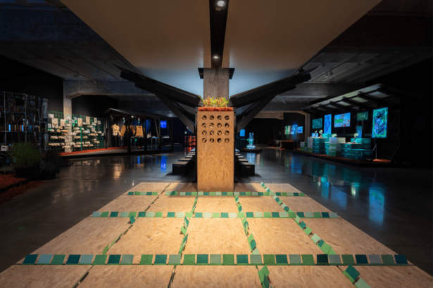 Hyundai Blue Prize+ 2025 for Emerging Curators