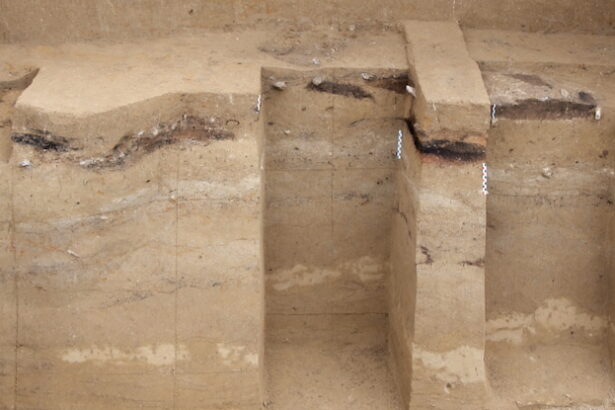 Ice Age Humans Were Experts at Wielding Fire, Study Finds : ScienceAlert