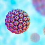 If HPV Infection Increases Heart Disease Risk, Can Vaccination Lower It?