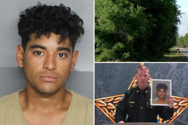 Illegal migrant accused of raping 13-year-old boy in twisted game of hide-and-seek