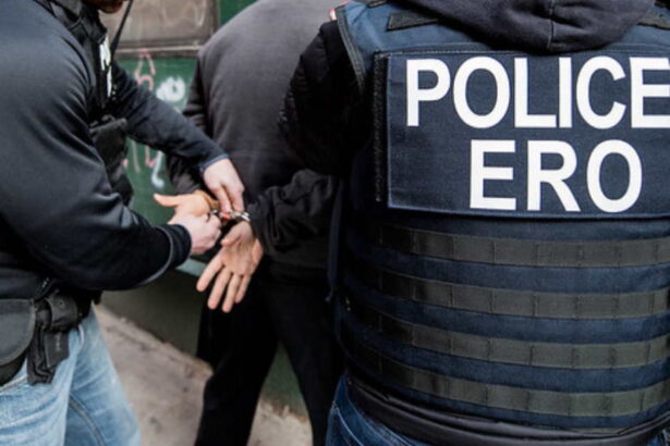 Illinois ‘sanctuary’ policies put dangerous aliens back on the streets, feds claim