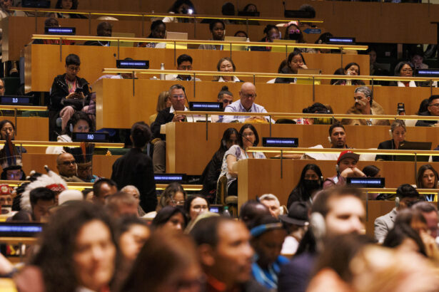 Indigenous delegates at the UN raise alarm on voluntary isolated peoples