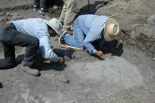 Inequality isn’t inevitable, according to ‘unprecedented’ archeology study