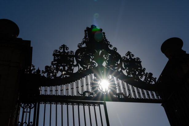 Inside Trump’s Pressure Campaign on Universities