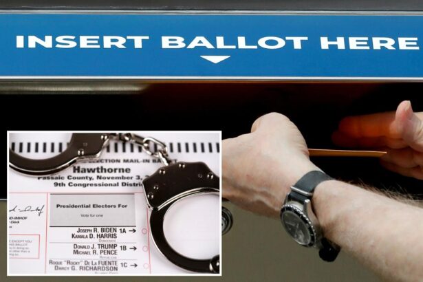 Iraqi man charged with illegally voting in 2020 election in NY, DOGE helped investigation