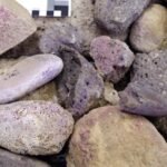 Iron Age site was a purple dye factory for centuries