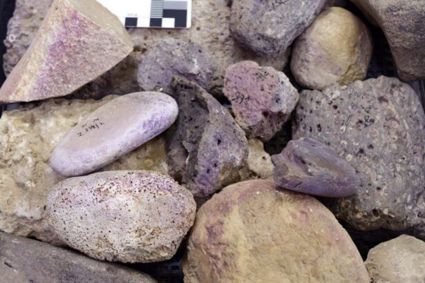 Iron Age site was a purple dye factory for centuries