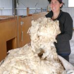 It turns out woolly thinking is something to be applauded