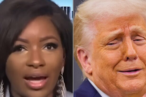 Jasmine Crockett Trolls GOP With Blunt Reminder About Trump