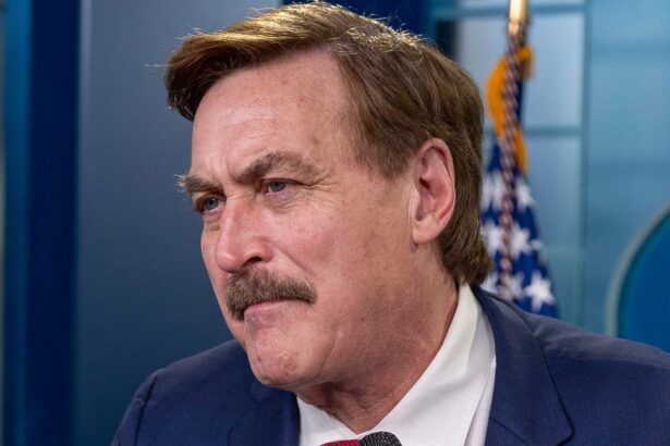 Judge Grills Mike Lindell’s Lawyer For Using AI In Legal Filing