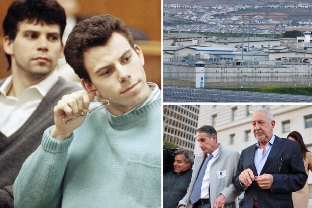 Judge to weigh Menedez brothers’ fate after family bashed ‘cruel’ DA they claim put their aunt in the hospital