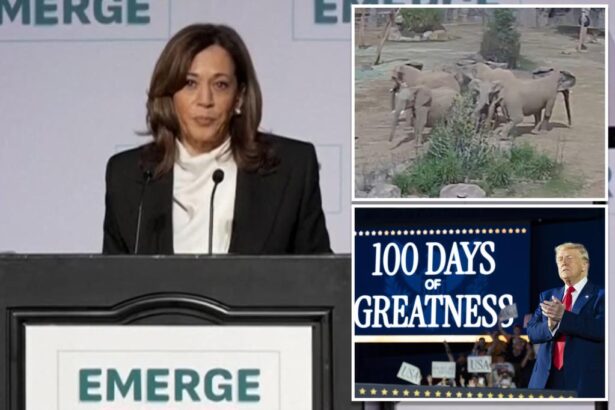 Kamala Harris brings up elephant video during San Francisco speech against Trump’s first 100 days in office