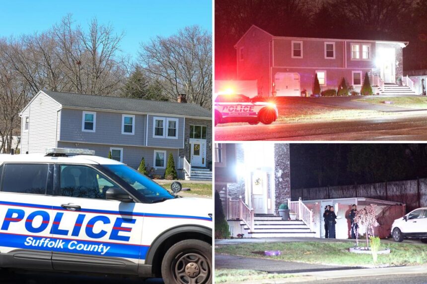 LI mom played dead as irate teen fatally knifed grandma 35 times: DA