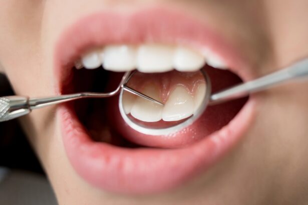 Lab-grown teeth could be the future of dentistry